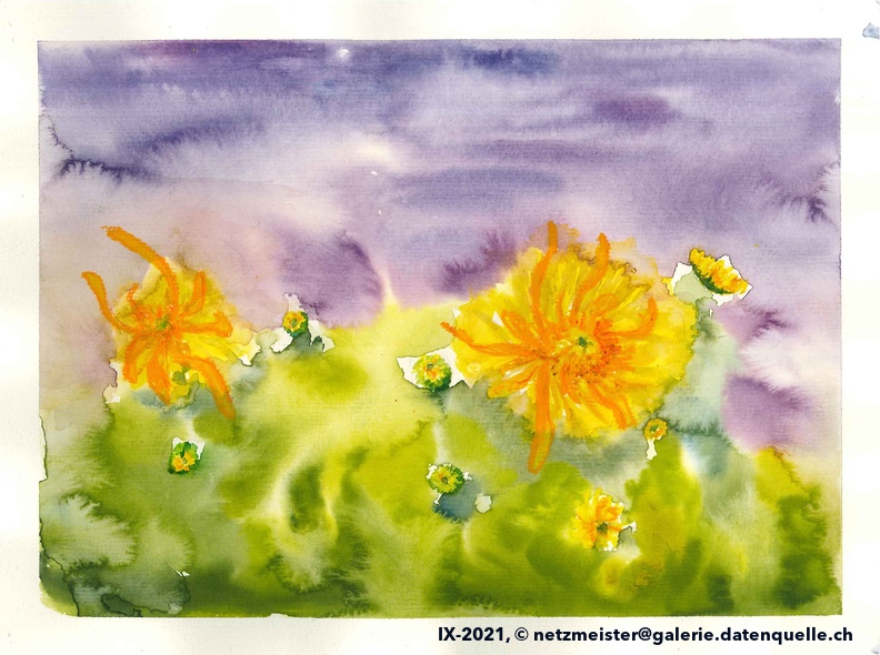 chrysantemen_abstrakt_nass_in_nass.jpg