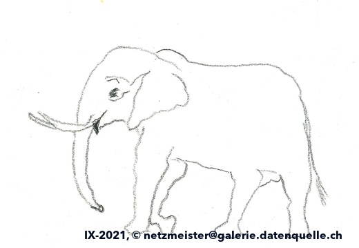 skizze-Elefant